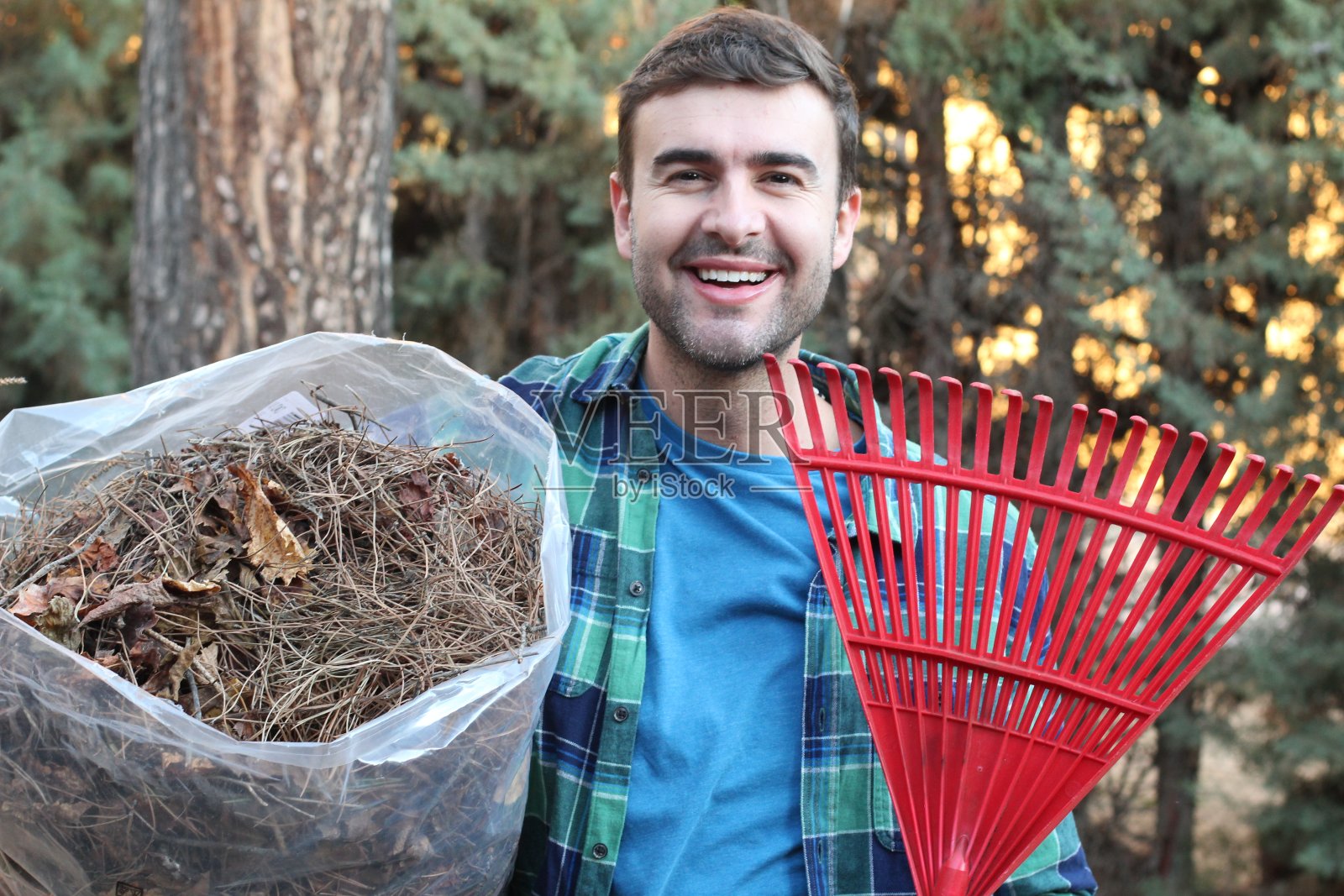 男人在后院扫树叶照片摄影图片