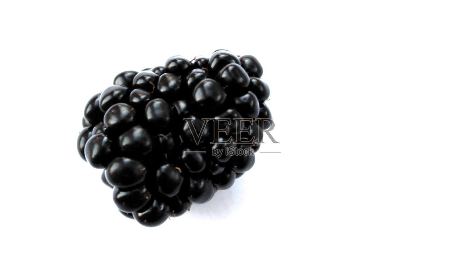 黑莓孤立，黑莓白色背景，黑莓照片摄影图片