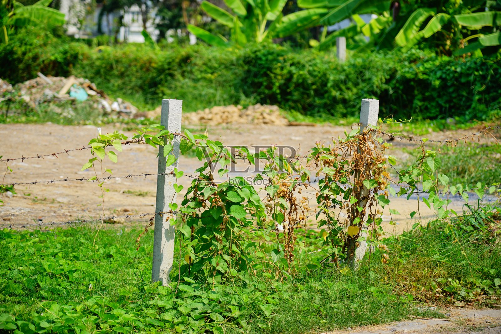 特写铁丝网照片摄影图片