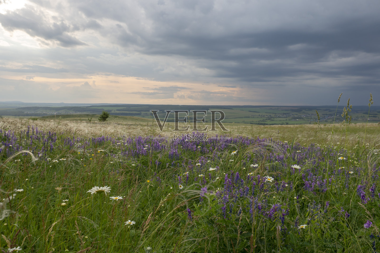乡村上空乌云密布。夏天的风景。照片摄影图片