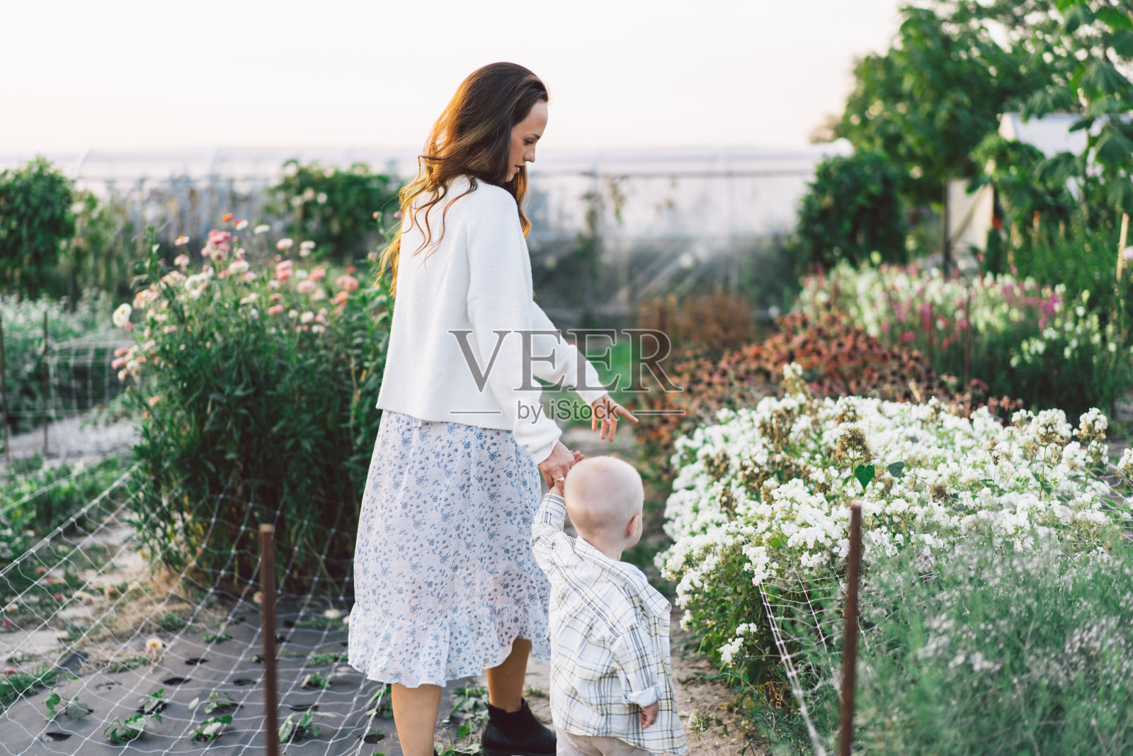 一个女人和她的孩子在花房里玩。照片摄影图片
