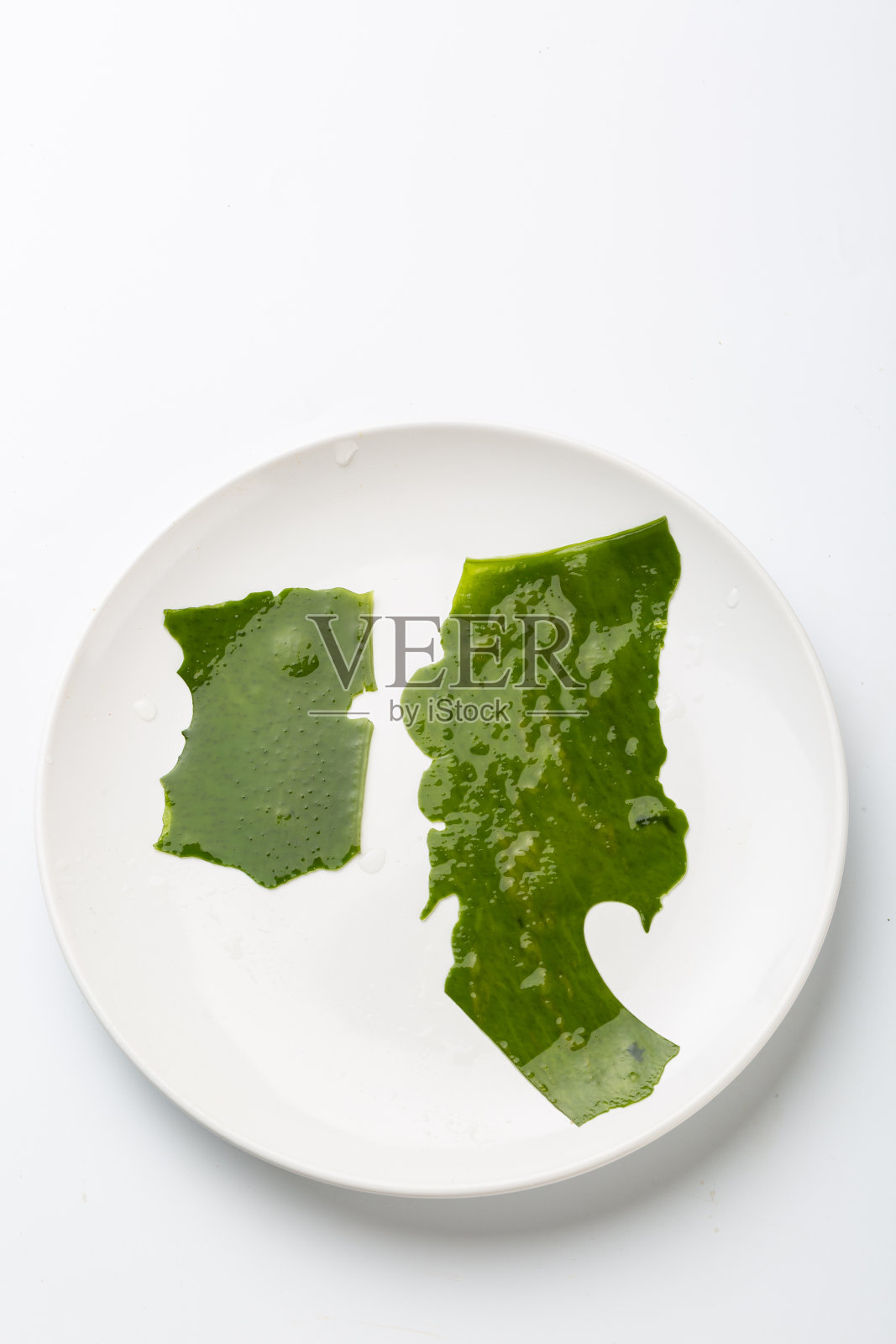 绿色裙带菜白底，裙带菜照片摄影图片