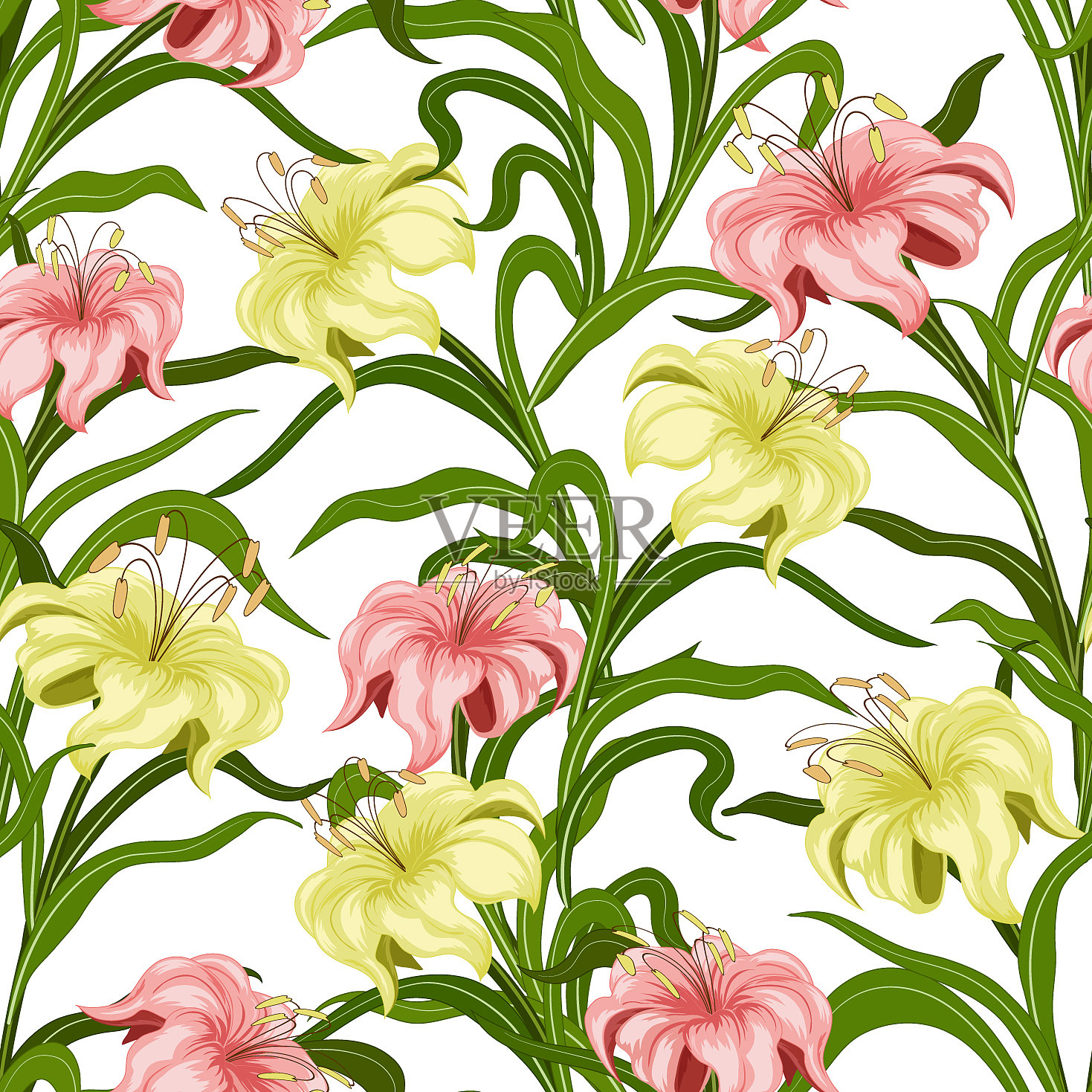 花百合在一个颜色图案插画图片素材