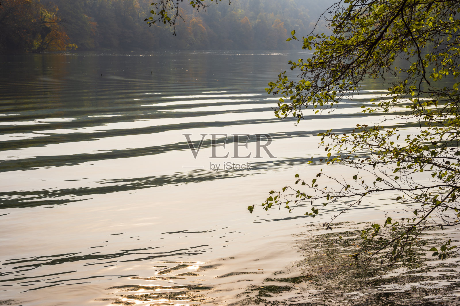 这条河增添了秋天的景色照片摄影图片