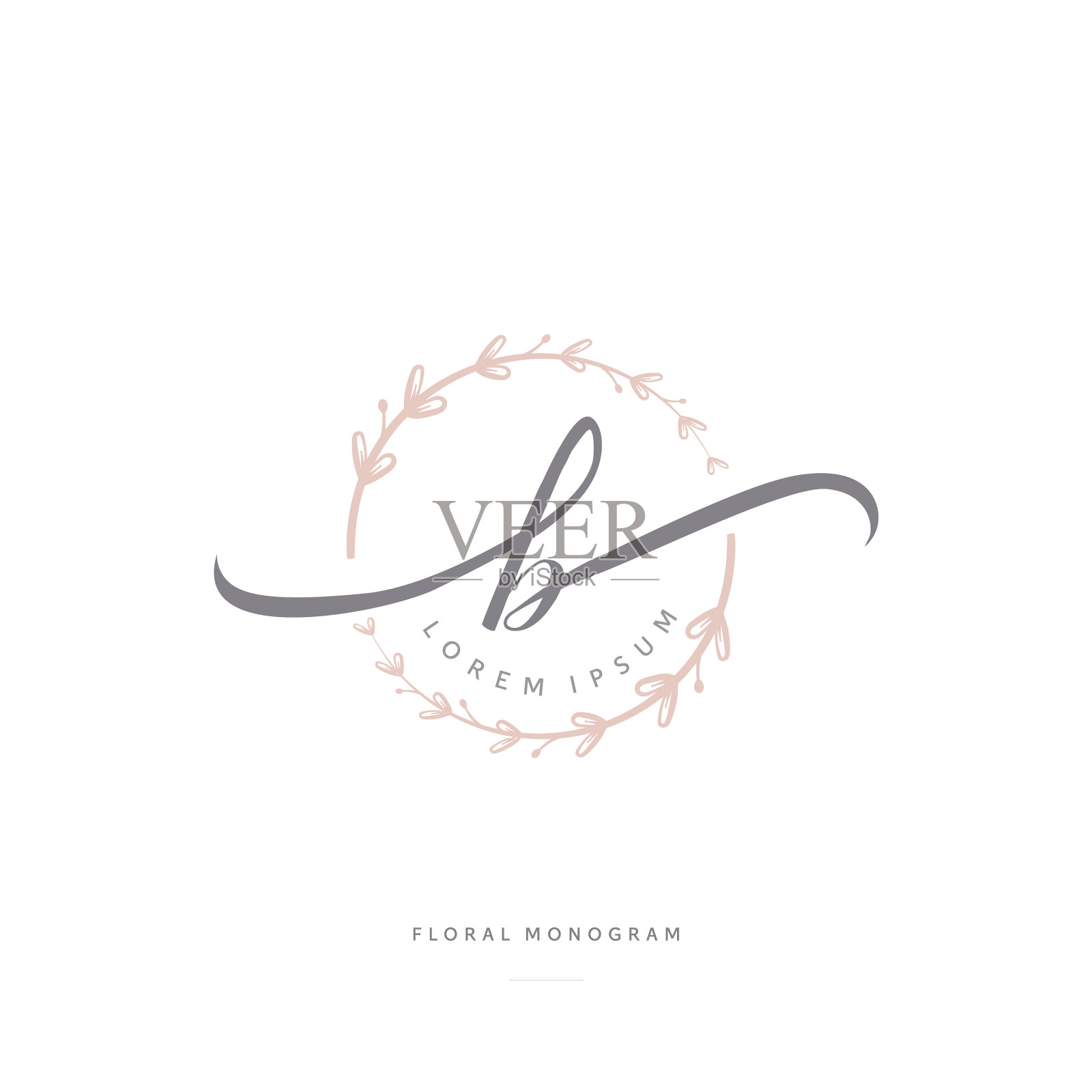 女性花字母b美丽的书法插画图片素材