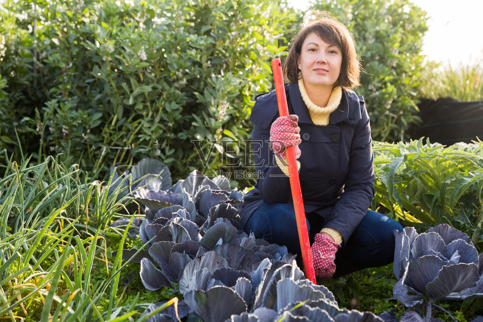 一个年轻的女人在用卷心菜照料床铺照片摄影图片