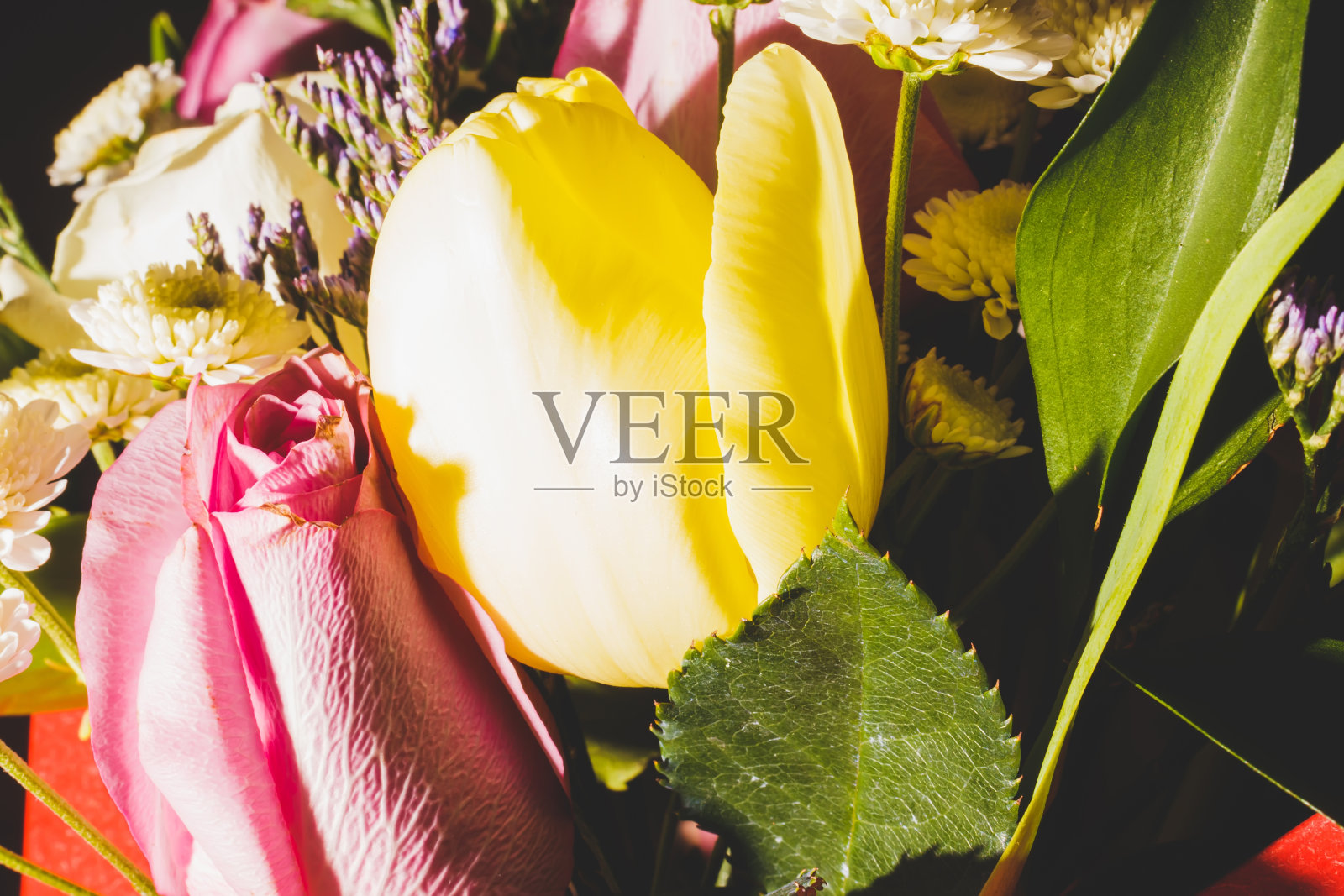 春天的花束，鲜艳多彩的花朵特写照片摄影图片