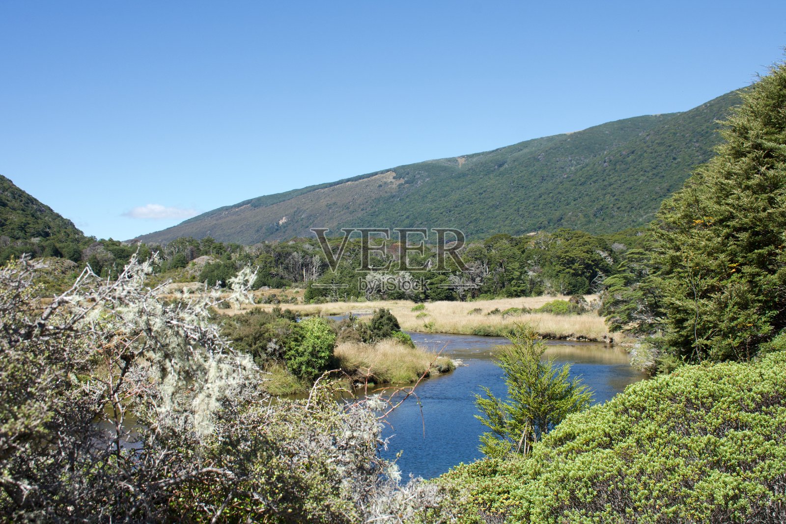 科布河，卡胡朗吉国家公园，塔斯曼区，新西兰照片摄影图片