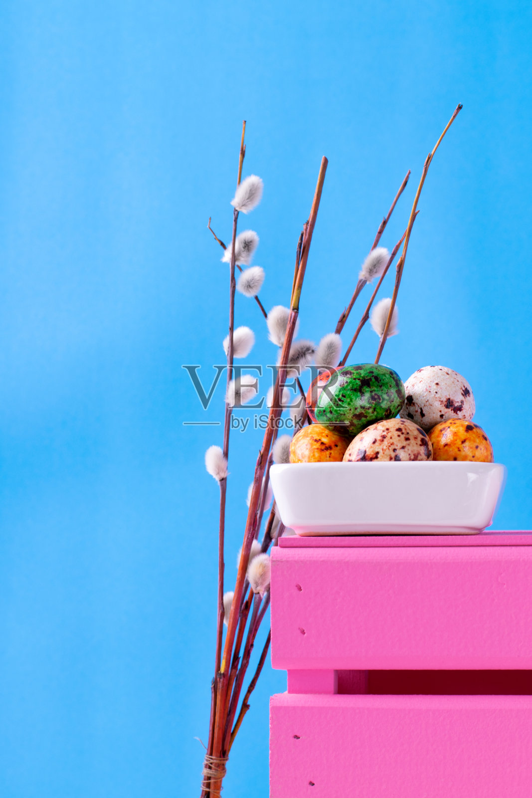 复活节彩蛋和蓝色的猫咪柳枝照片摄影图片