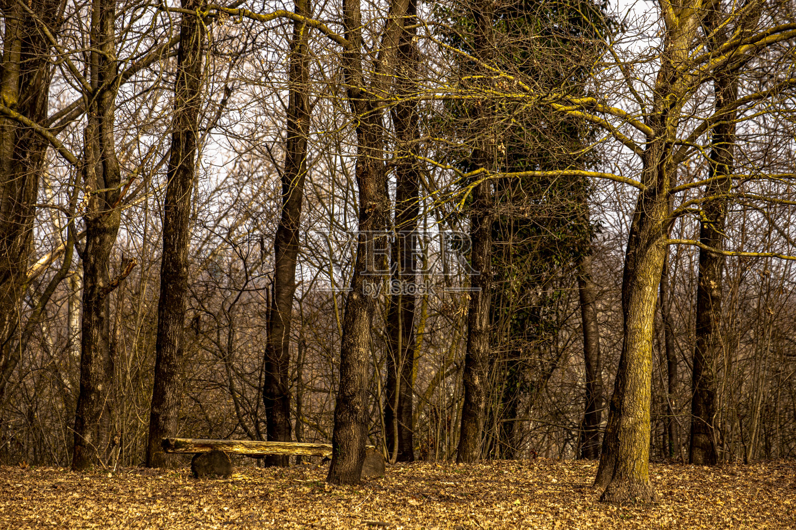 温暖的长椅上照片摄影图片