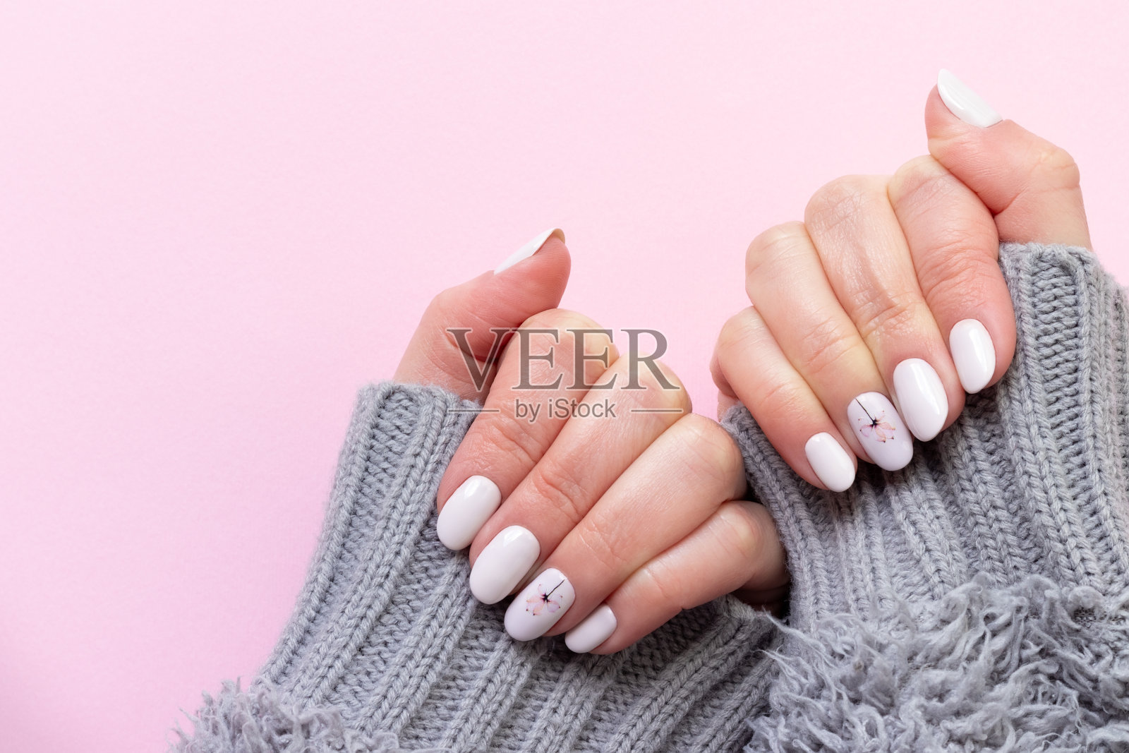 女性的手在灰色针织毛衣与美丽的美甲-白色象牙指甲与粉红色的纸背景与复制空间照片摄影图片