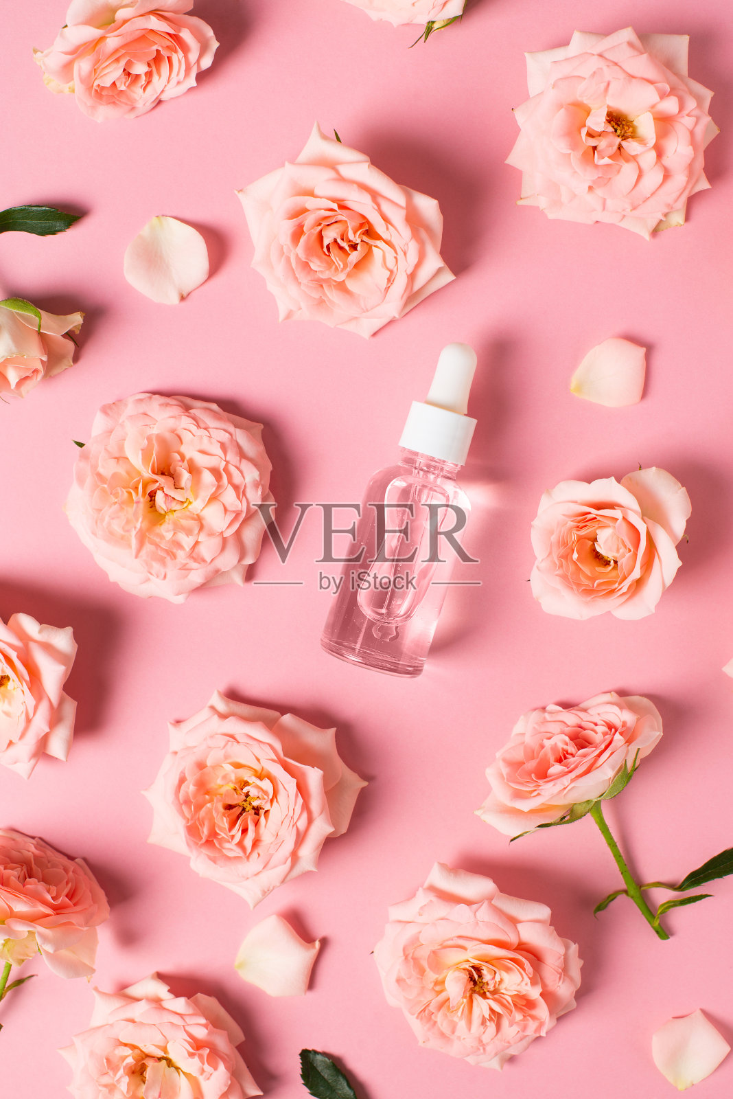 装有玫瑰花的血清瓶平躺在粉红色的背景上照片摄影图片