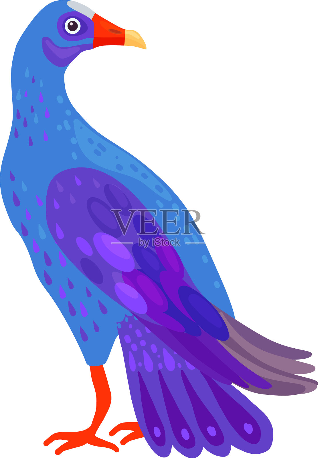 温血鸟，羽毛鲜艳的热带鸟类设计元素图片