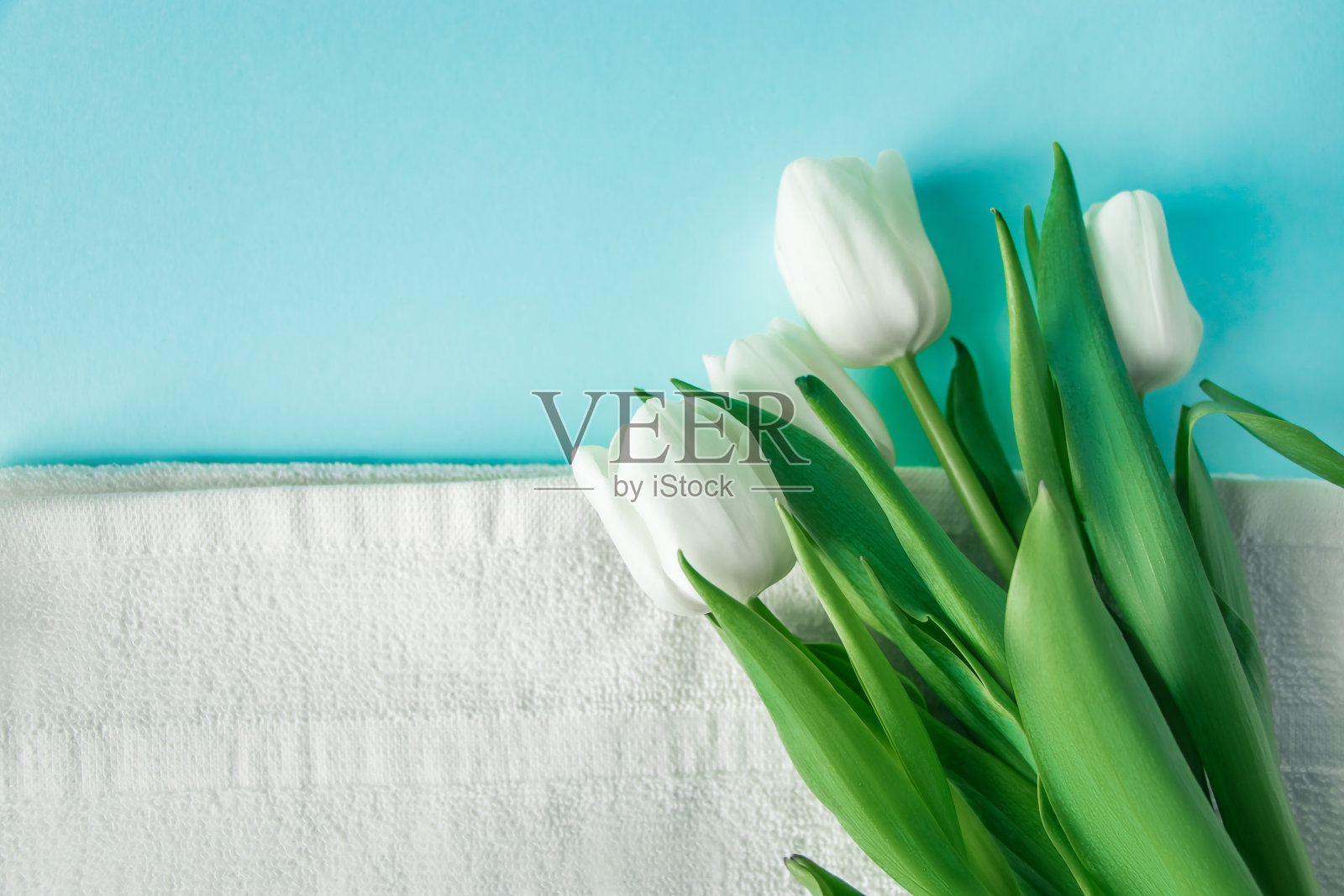 有机化妆品水疗护理在蓝色的背景。皮肤护理和卫生理念。照片摄影图片