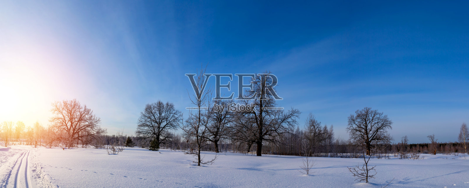 冬季全景景观与树木和雪在阳光明媚的日子。照片摄影图片