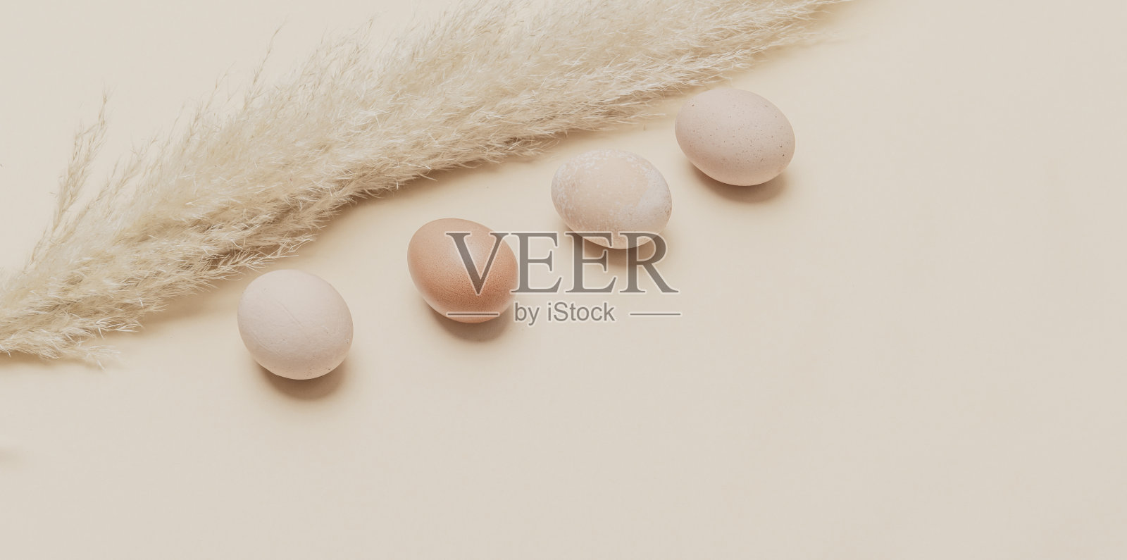 棕色干燥的潘帕斯草和鸡蛋在自然米色背景。零浪费复活节的概念。环保生活，复制空间照片摄影图片