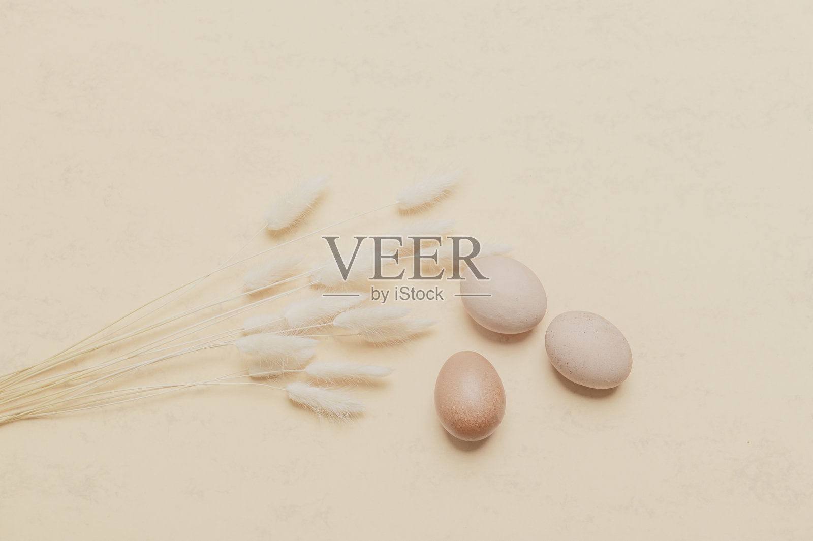 棕色干燥兔尾草和鸡蛋在自然米色背景。零浪费复活节的概念。环保生活，复制空间照片摄影图片