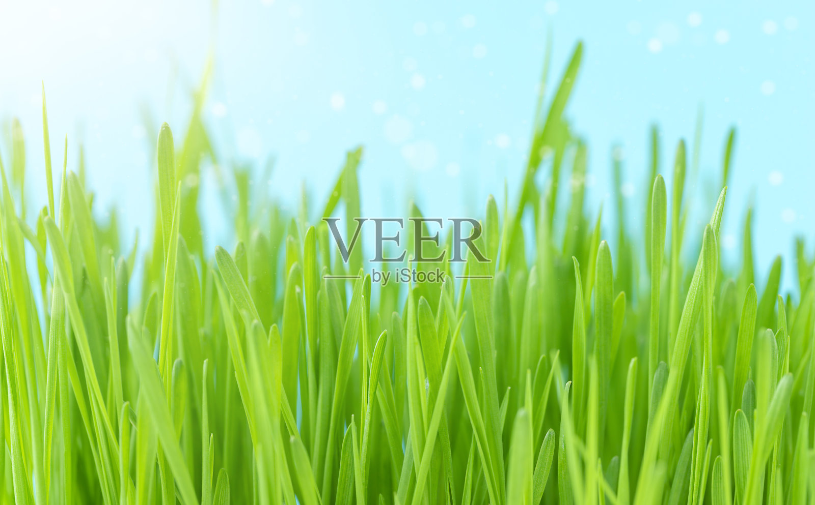 草和天空照片摄影图片