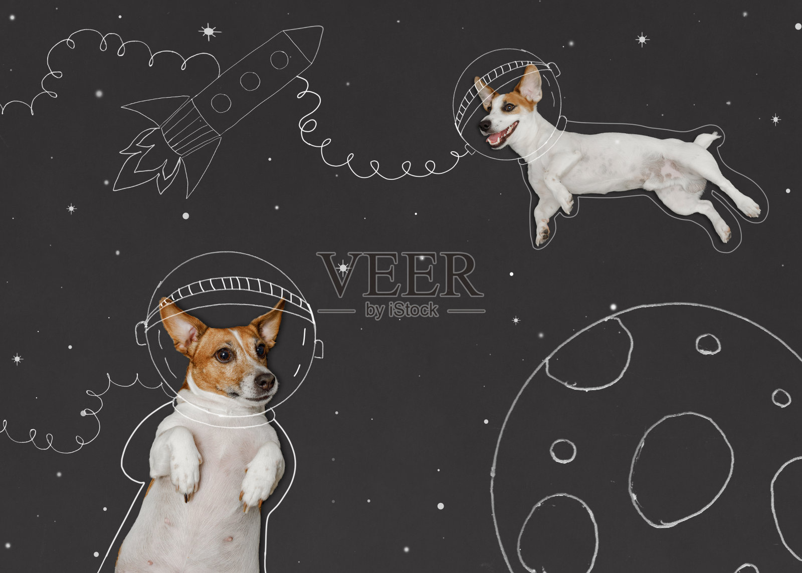 可爱的狗穿着太空服在黑板上画画。照片摄影图片