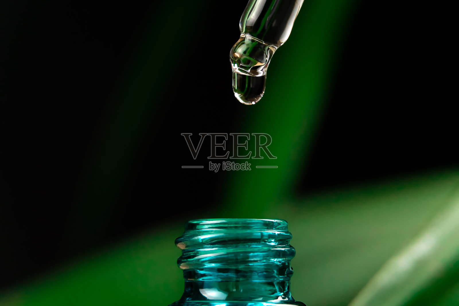 化妆品移液管在颈部的一瓶血清在绿色植物的背景上，在黑色的背景与复制空间，微距。美容、医学的概念照片摄影图片