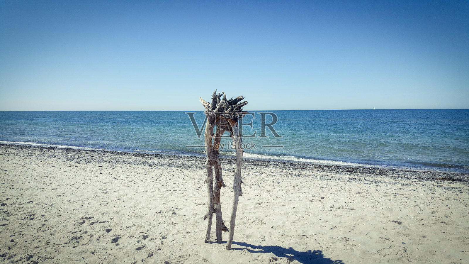 夏天的波罗的海照片摄影图片