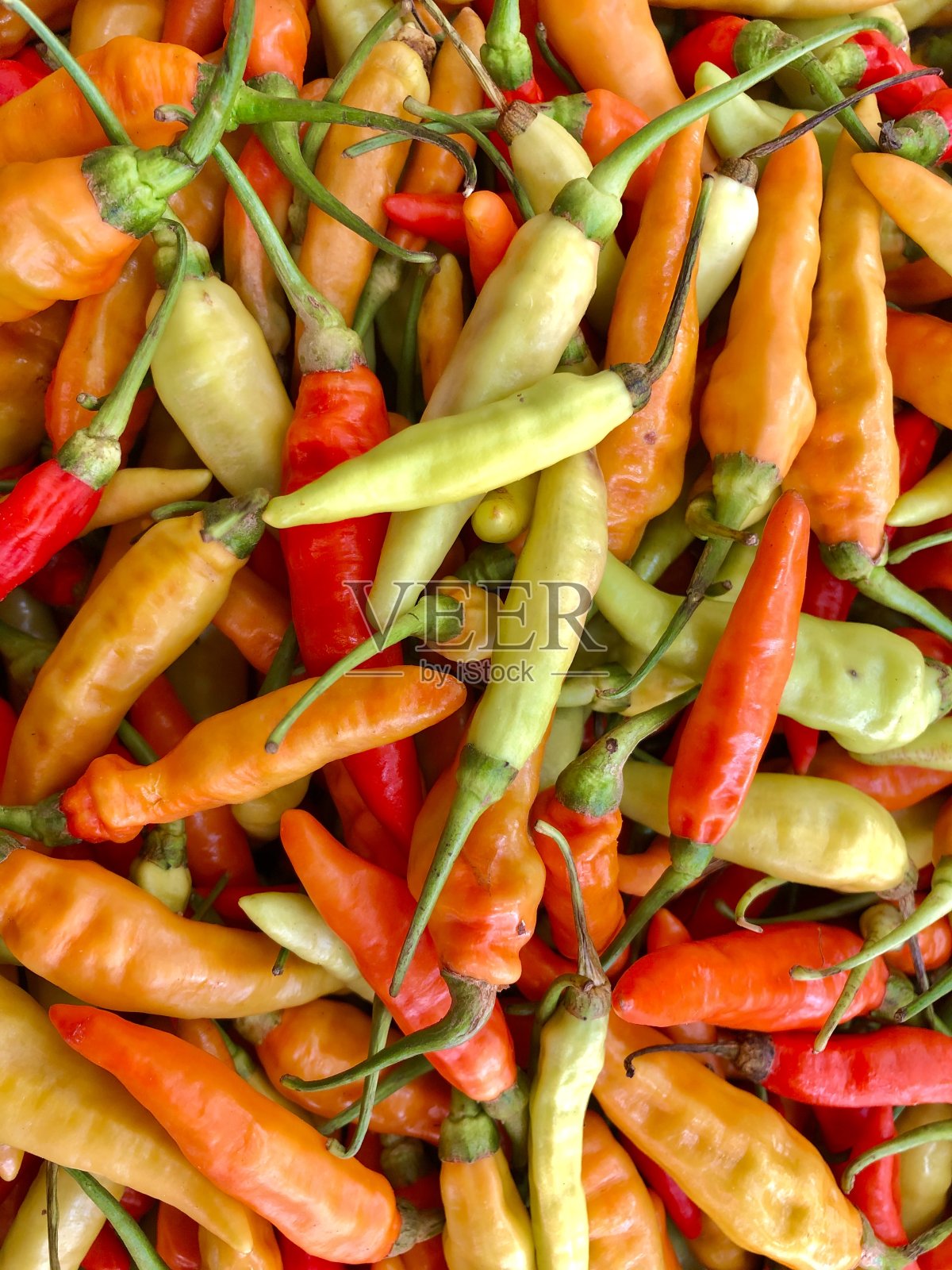 背景照片摄影图片