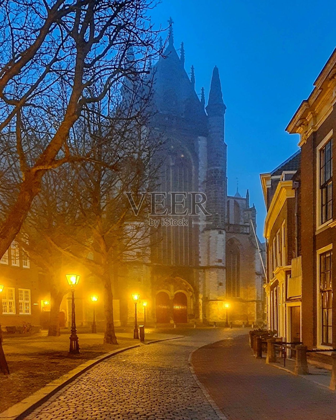 米丝蒂·莱顿照片摄影图片