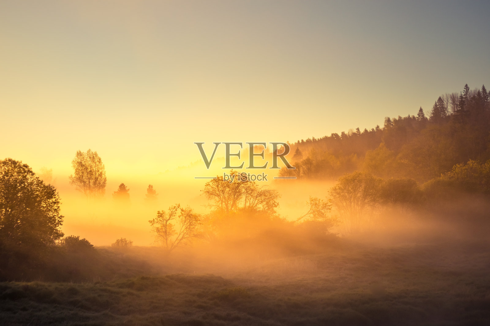 一个有薄雾和阳光的美丽的河流早晨。北欧河岸的春色。照片摄影图片