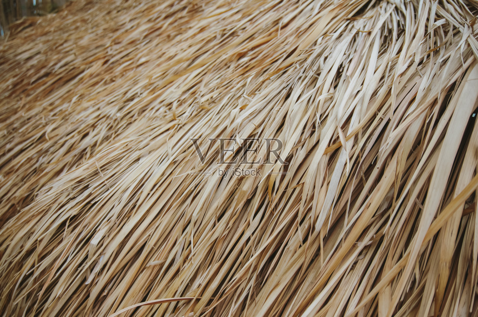 干观赏草。以干草为背景。照片摄影图片
