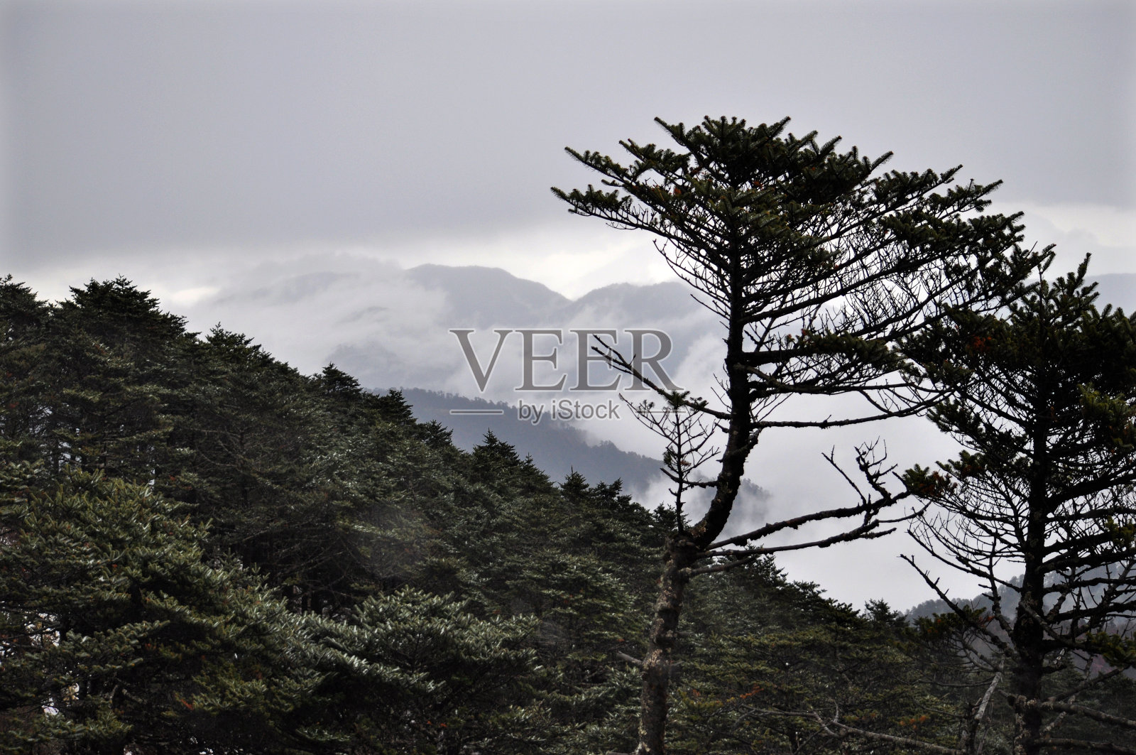 山脊的全景照片摄影图片