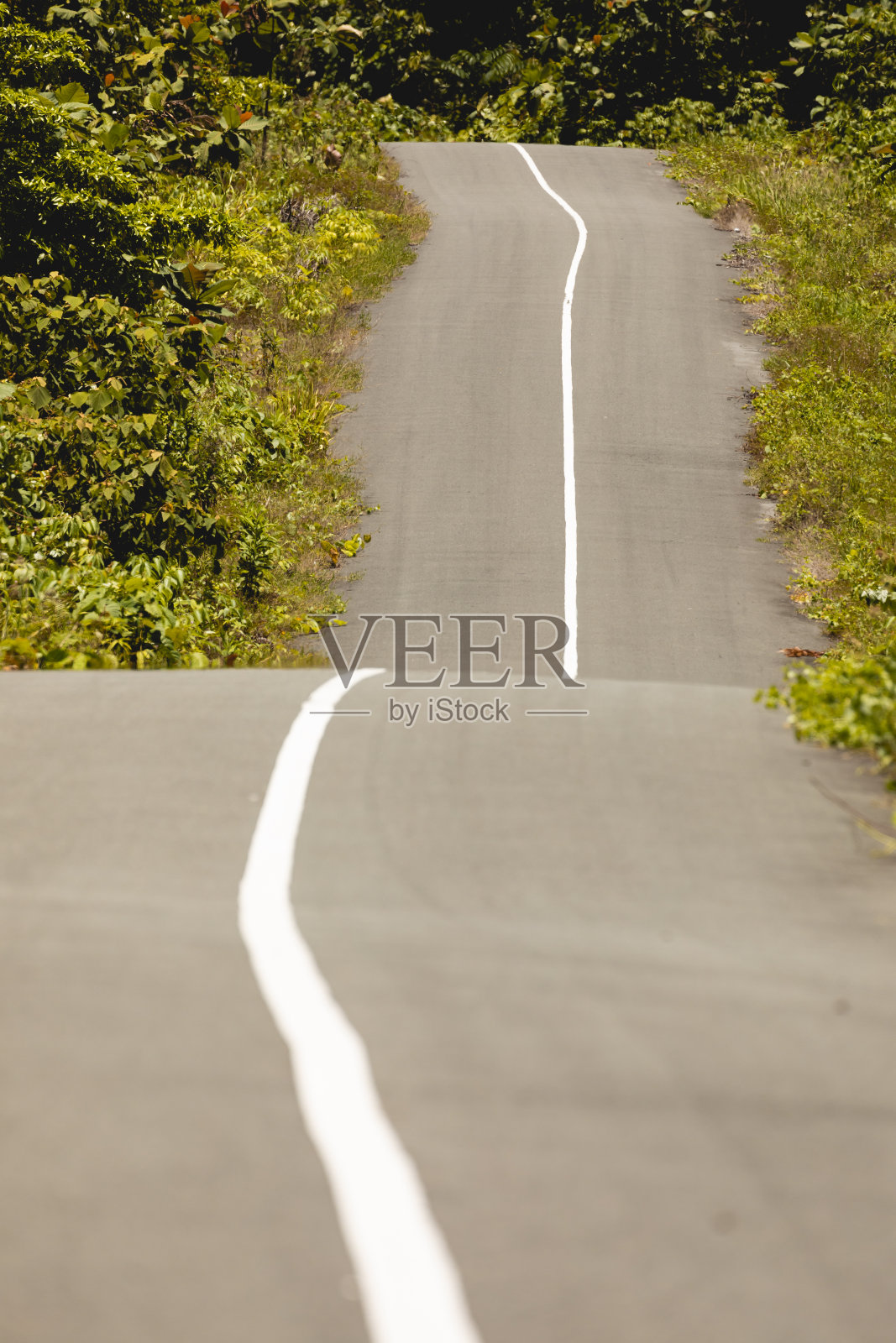 印度尼西亚西巴布亚岛的威哥岛，道路和曲线。照片摄影图片