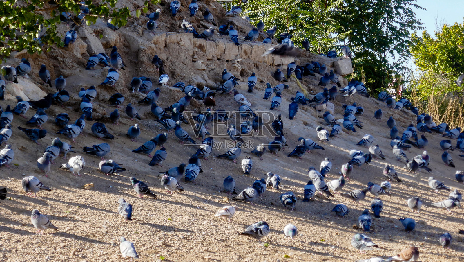卡帕多西亚惊人的山谷，不寻常的浮雕照片摄影图片