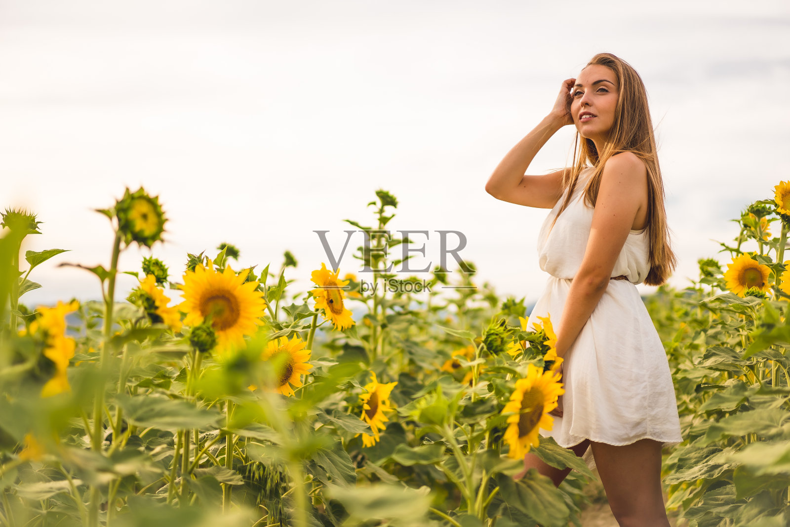 潘普洛纳的生活方式，一个年轻的金发女郎享受着一片向日葵田照片摄影图片