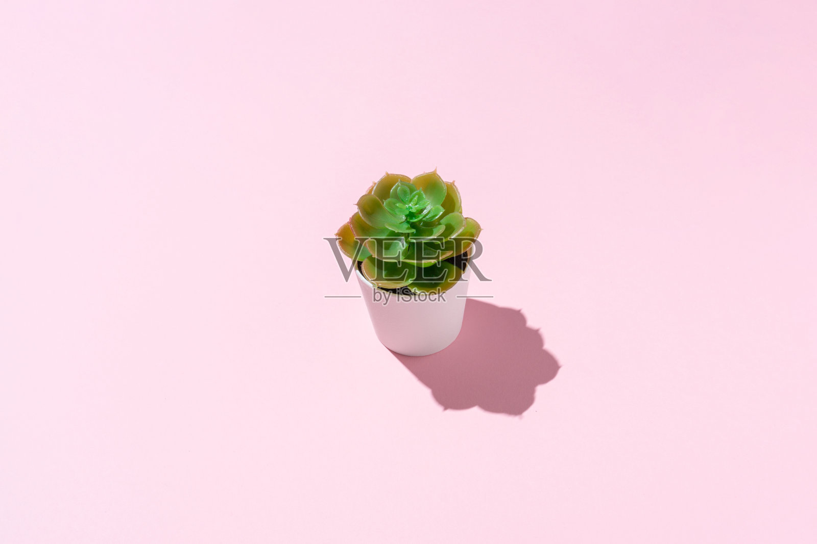 单株人工植物，白色盆栽，浅粉红色背景。夏天的概念。照片摄影图片