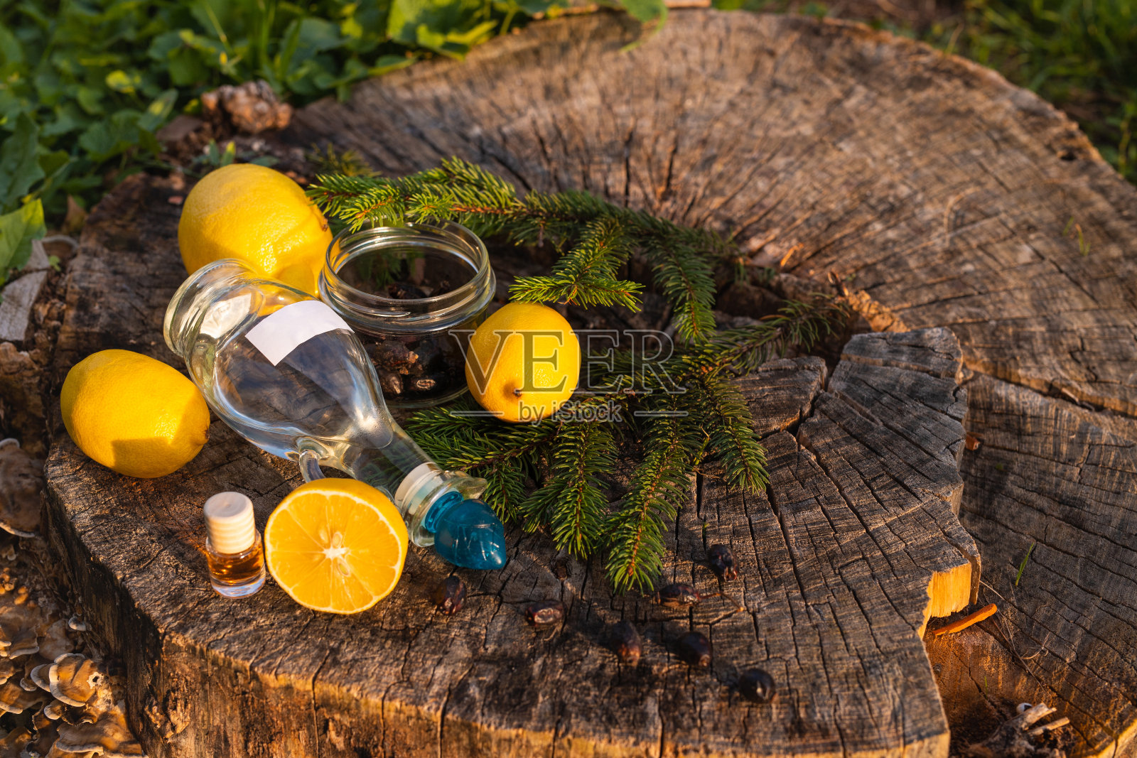 柠檬水果组附近的玻璃瓶witk模拟空间野餐背景。冷杉树干和树枝，空气清新。照片摄影图片