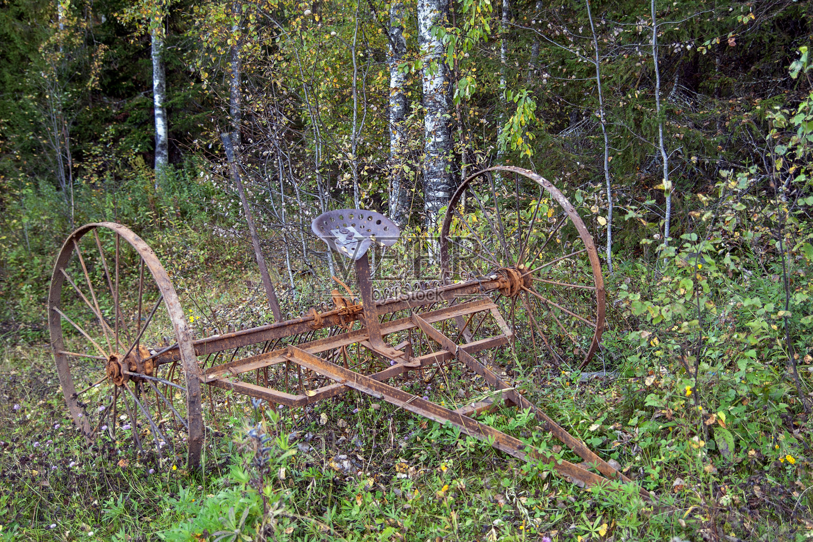 废弃的老农机在森林和幼林的背景下生长。修理痕迹，锈迹。时间稍纵即逝的概念照片摄影图片