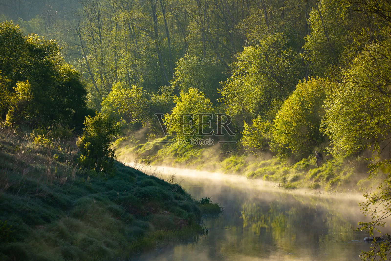 一幅美丽的春景，晨雾缭绕的河谷。春天的景色是一条小河流过森林。水分在阳光下蒸发。照片摄影图片