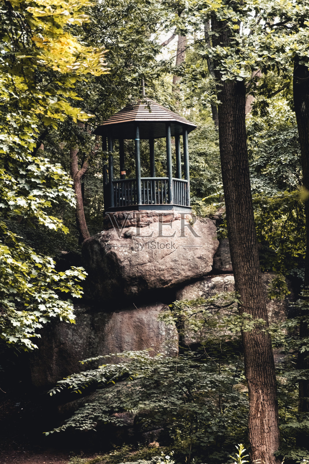 林中的凉亭。照片摄影图片