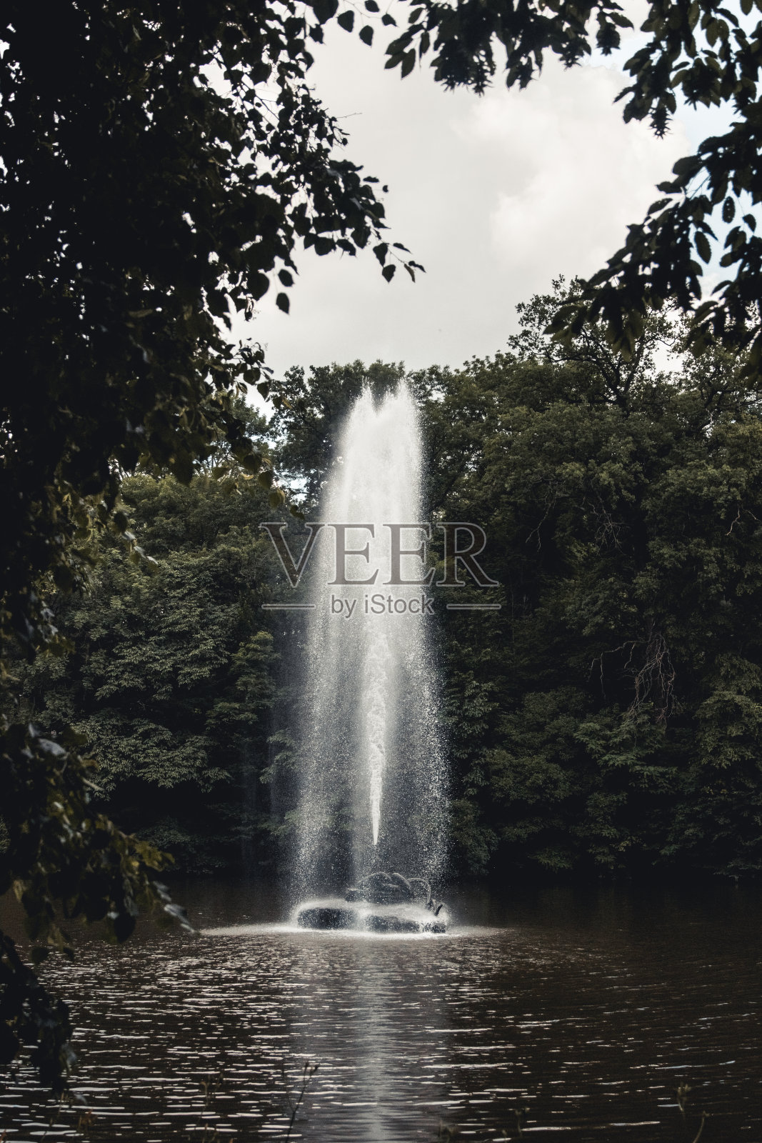 公园里一个湖中央的蛇形喷泉照片摄影图片