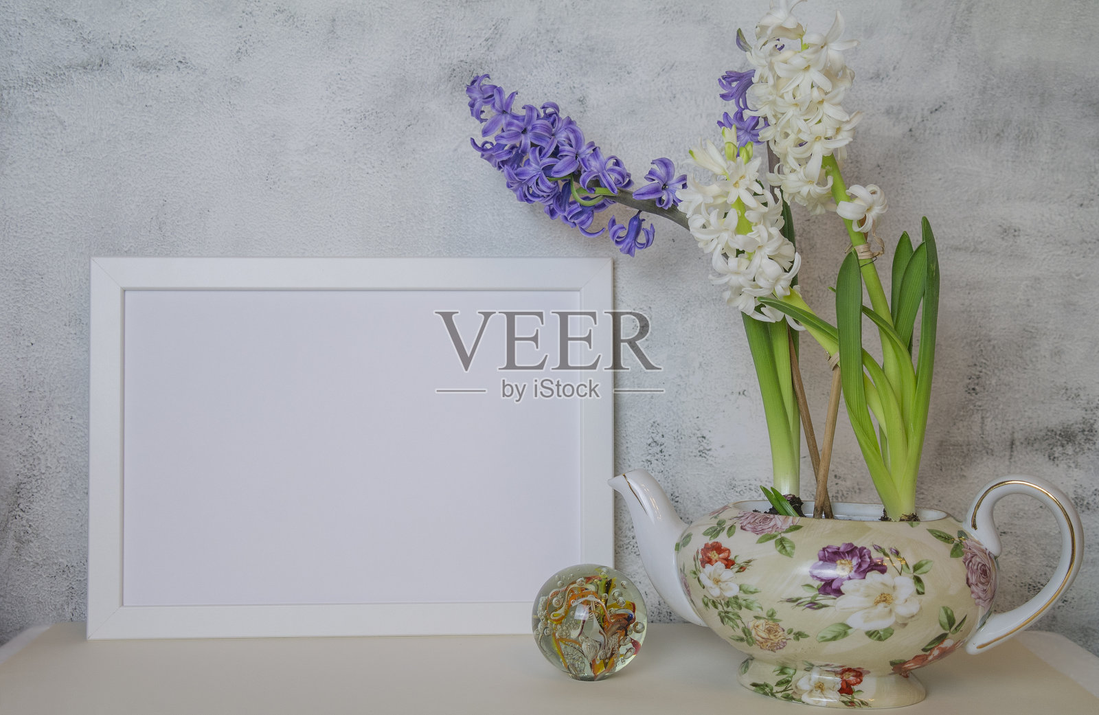 春天模型与风信子在光的背景照片摄影图片