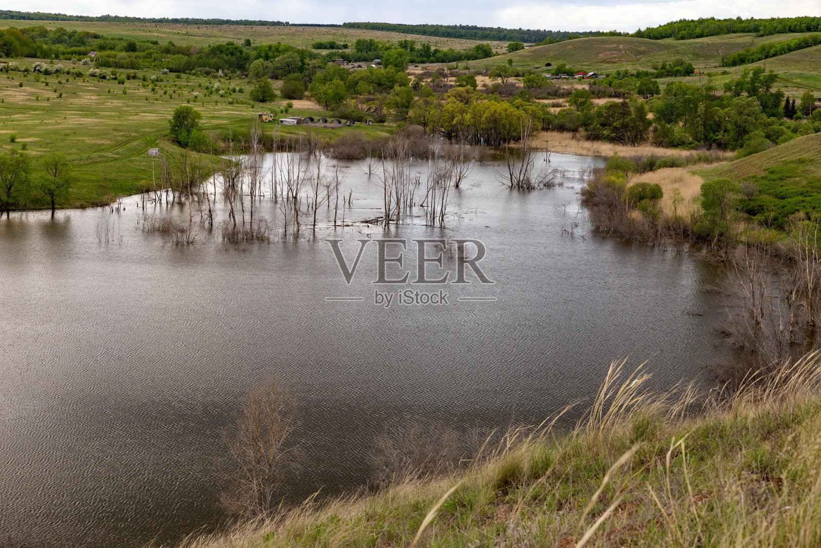 湖上的树木被淹了照片摄影图片