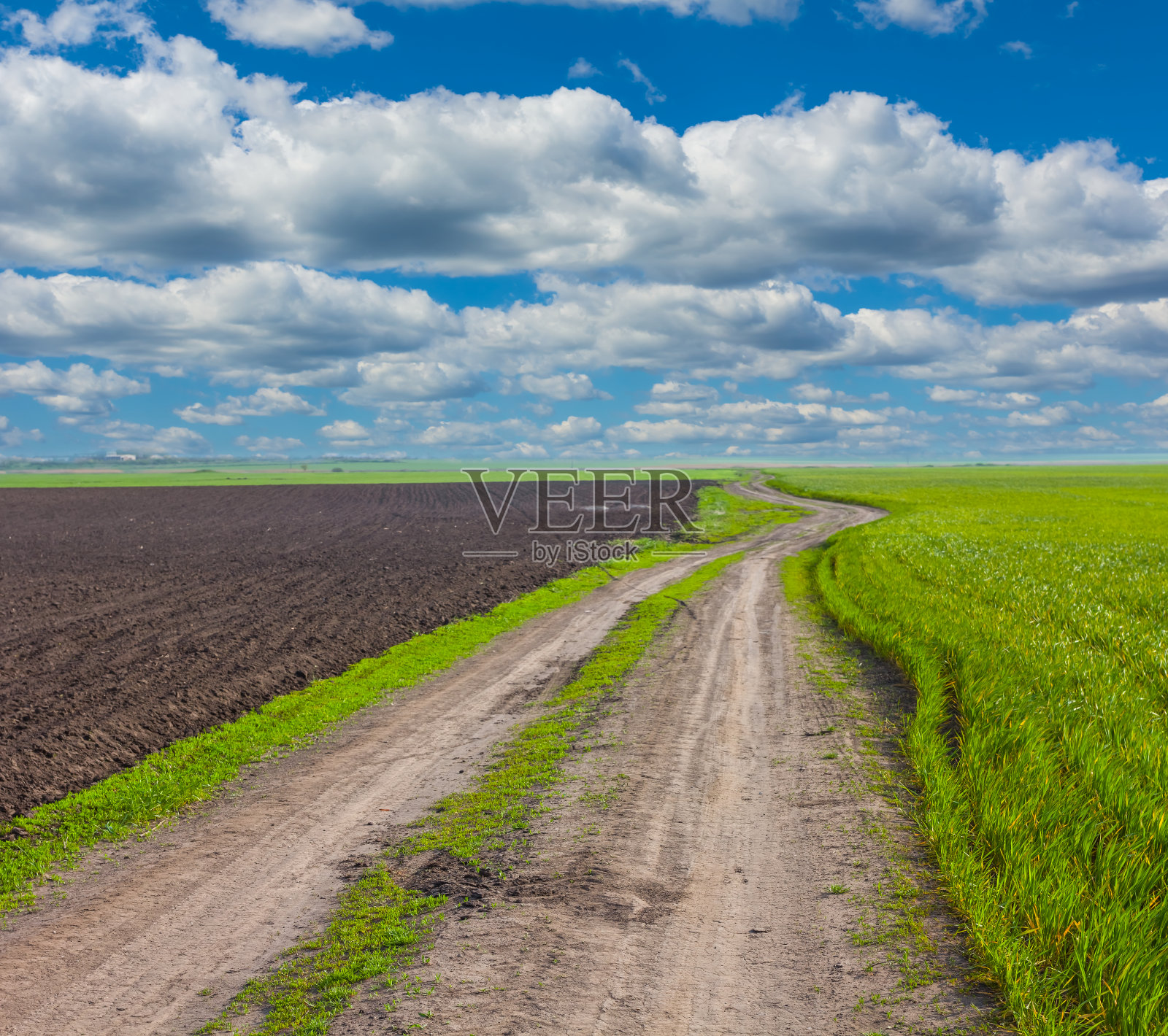 美丽的绿色田园春景照片摄影图片