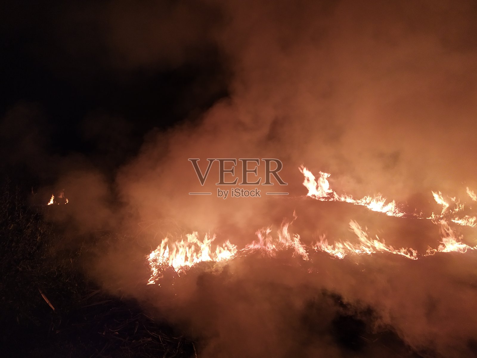 橙色的火焰风暴与烟雾在黑暗的夜森林照片摄影图片