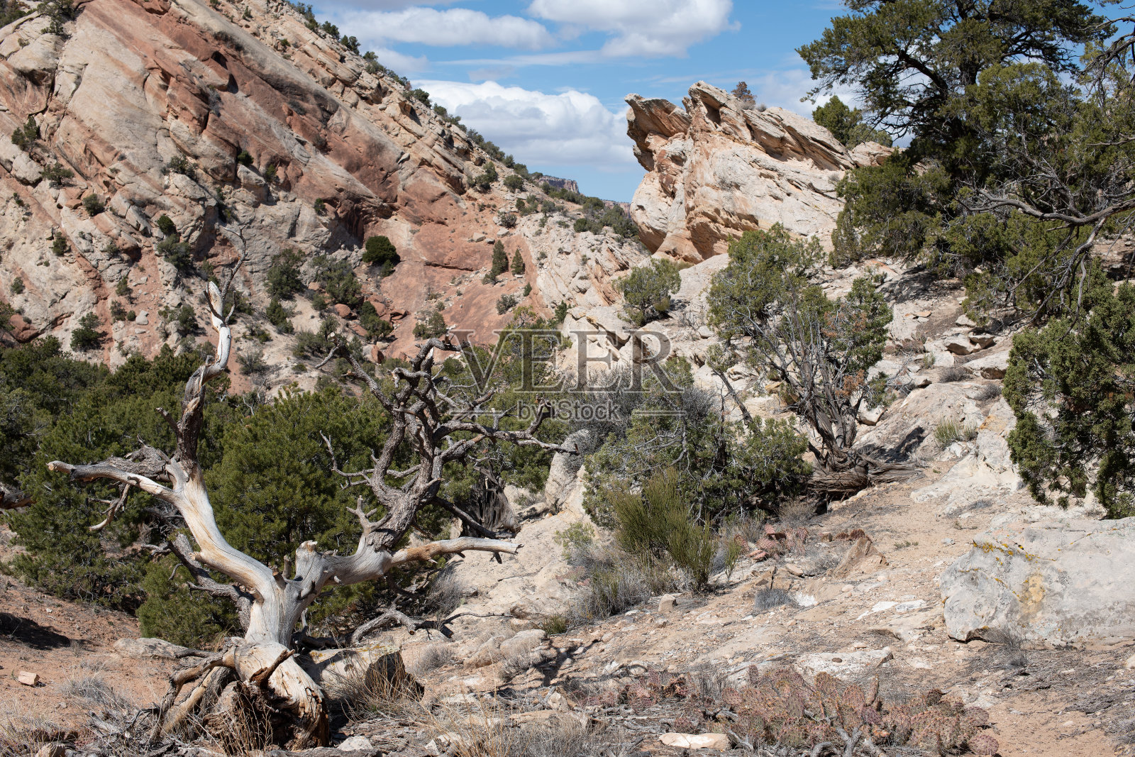 崎岖的峡谷照片摄影图片