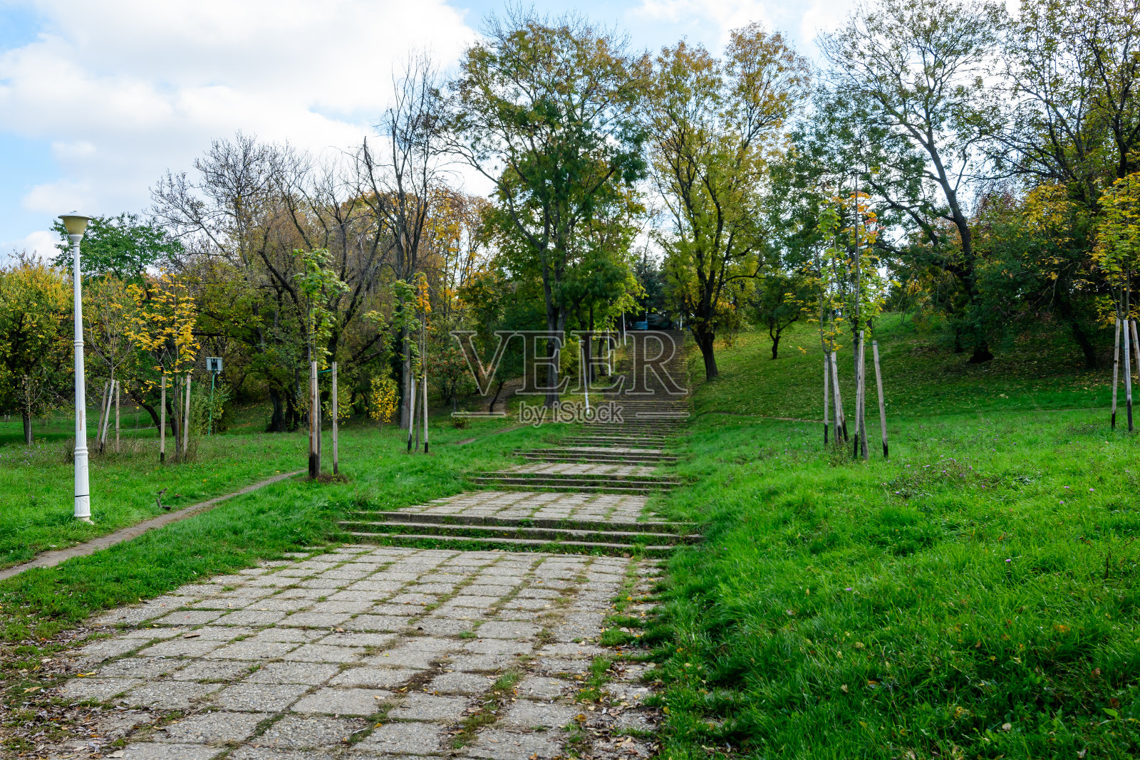 在一个阳光明媚的秋日，在罗马尼亚布加勒斯特的Tineretului公园里，小路和楼梯上有生动的绿色和黄色植物，植物树和草照片摄影图片