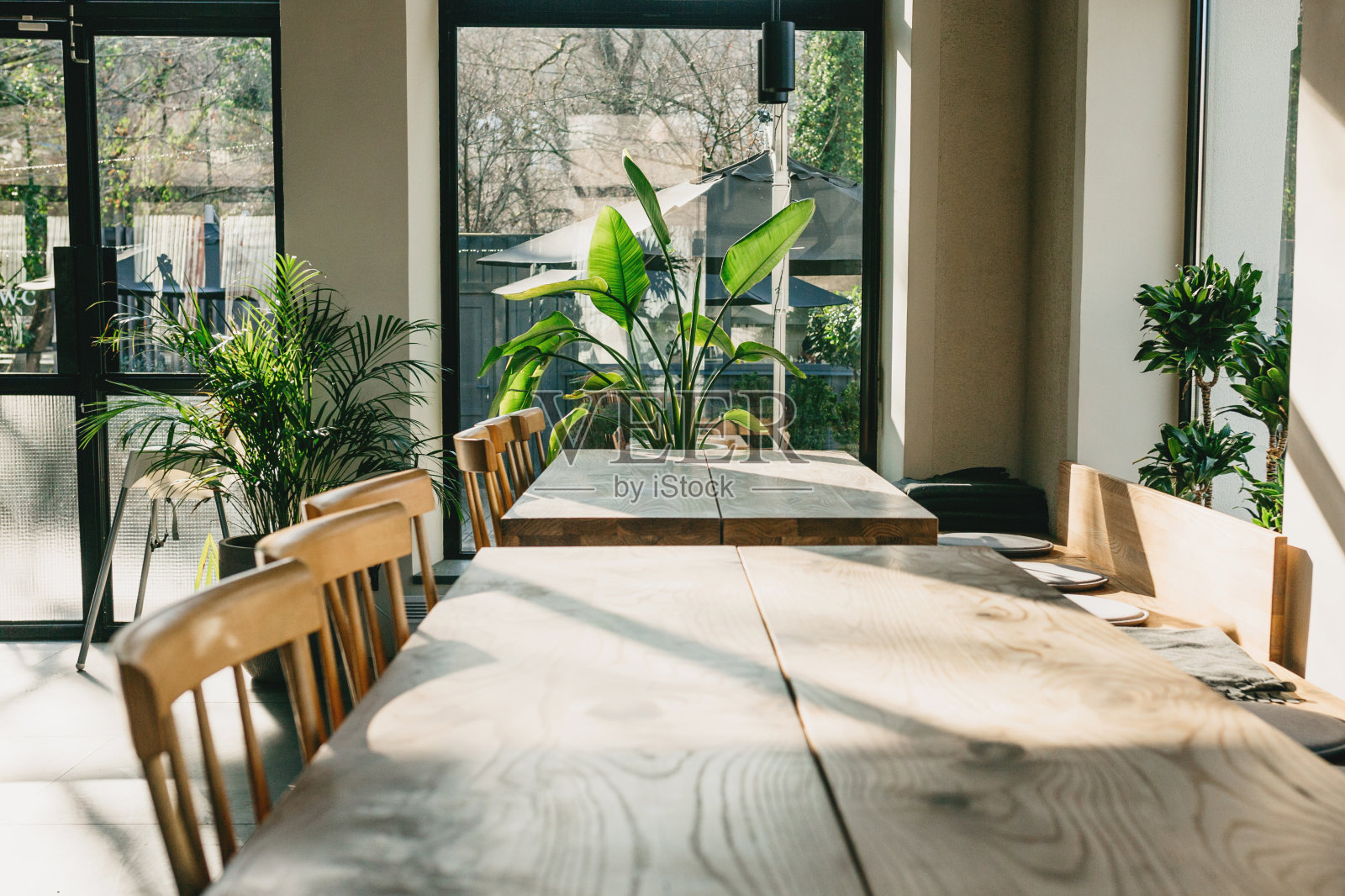 空木桌和椅子照片摄影图片