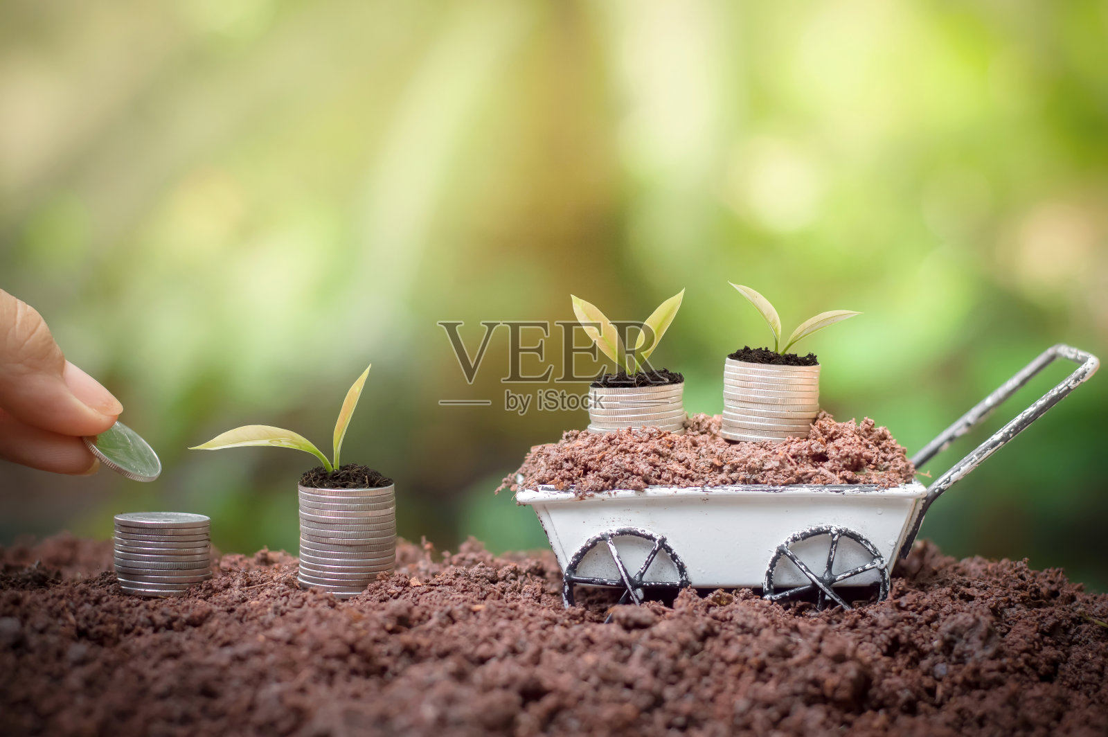 企业投资或储蓄理念照片摄影图片