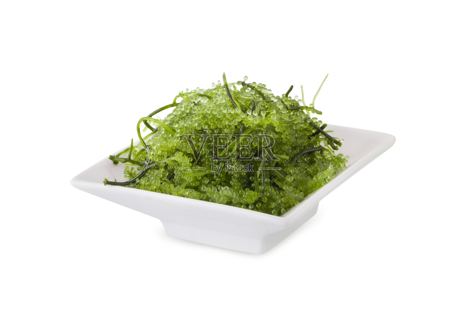 海藻，健康的海鲜。卵形海葡萄海藻。健康食品，近距离绿色鱼子酱在白色的背景照片摄影图片