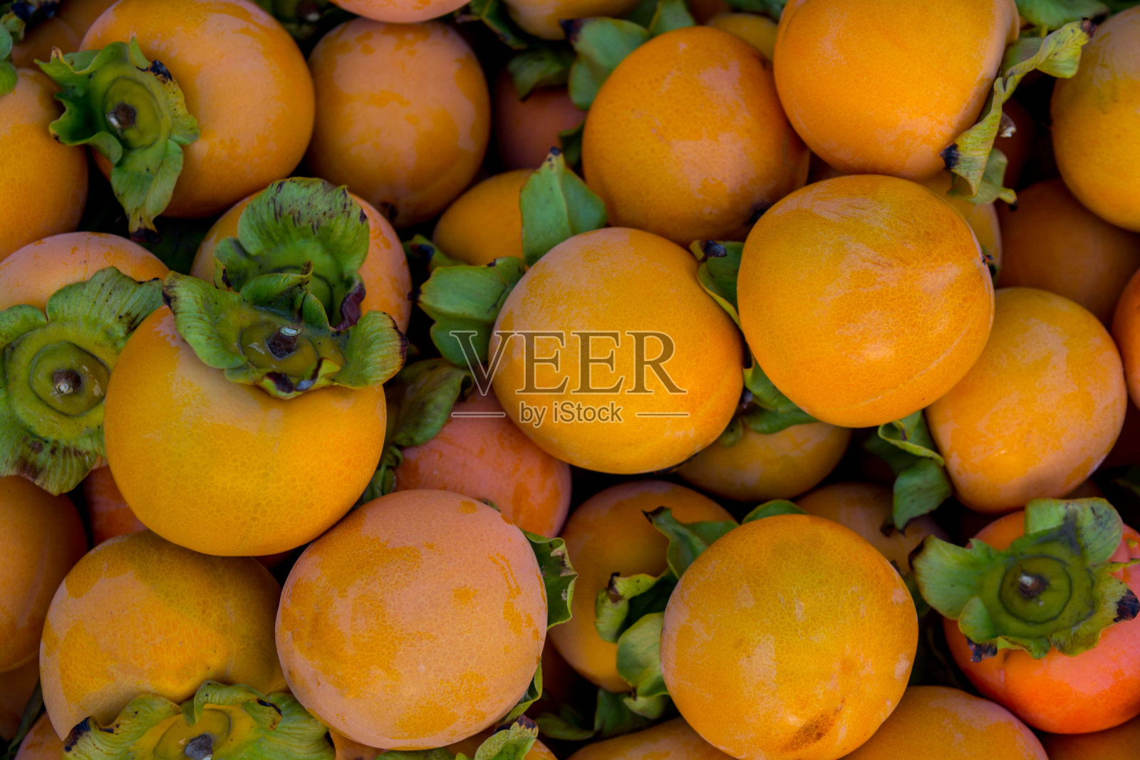 成熟的柿子照片摄影图片