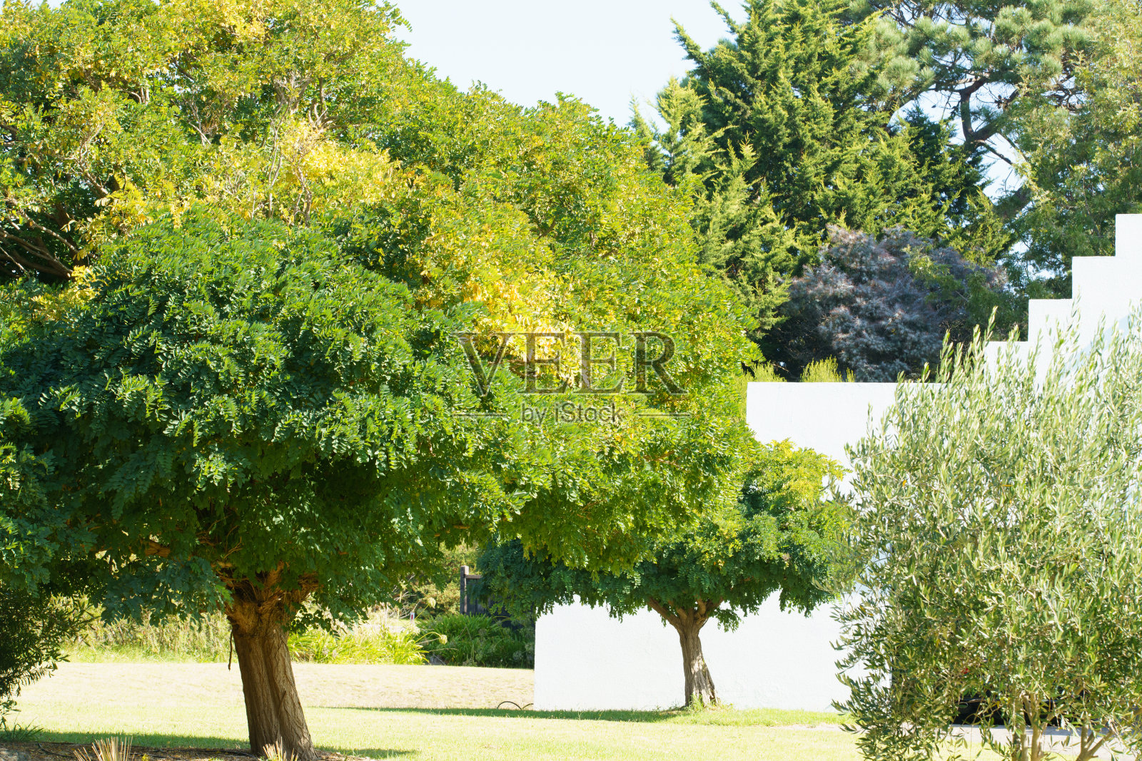马大山上街道上的花园照片摄影图片